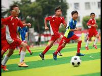 马刺直播_马刺免费高清直播_阿富拉夏普尔VS阿科夏普尔